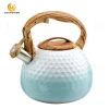 Green Stainless Steel Whistling Water Kettle 3.0L Manufacturer